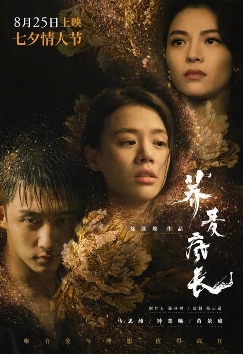 有cpa证书考公务员有帮助吗